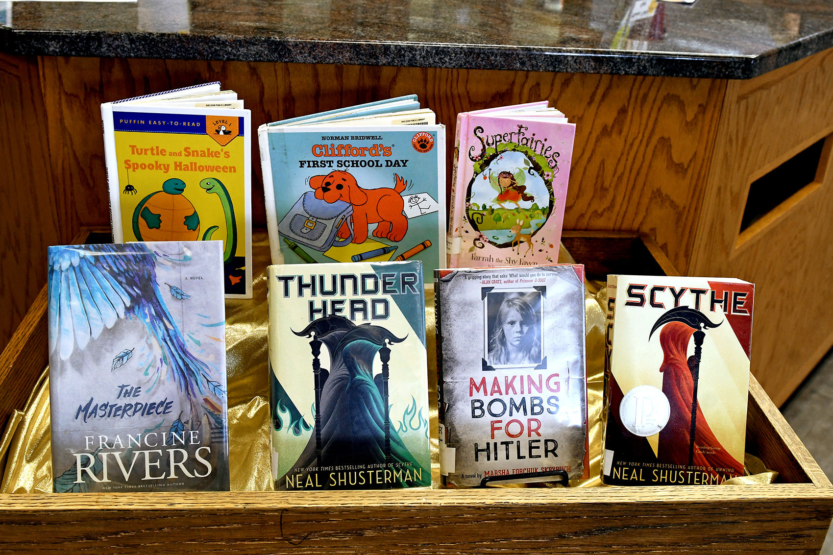 Library's Most Popular 2018